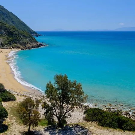 Tree Of Life * Valeriános