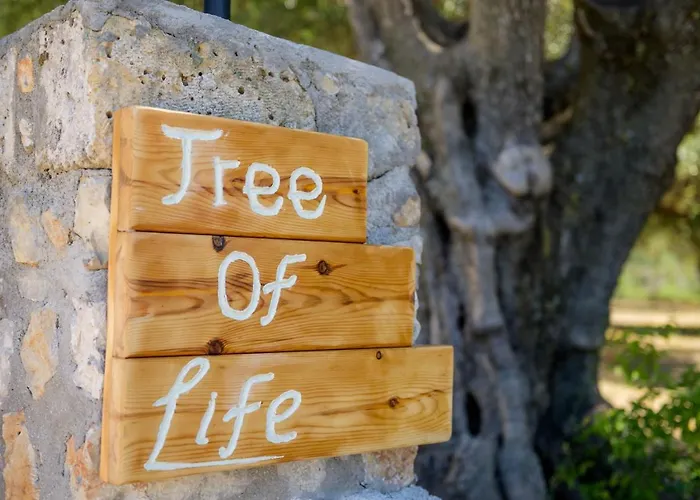 Tree Of Life Semesterbostad Valeriános