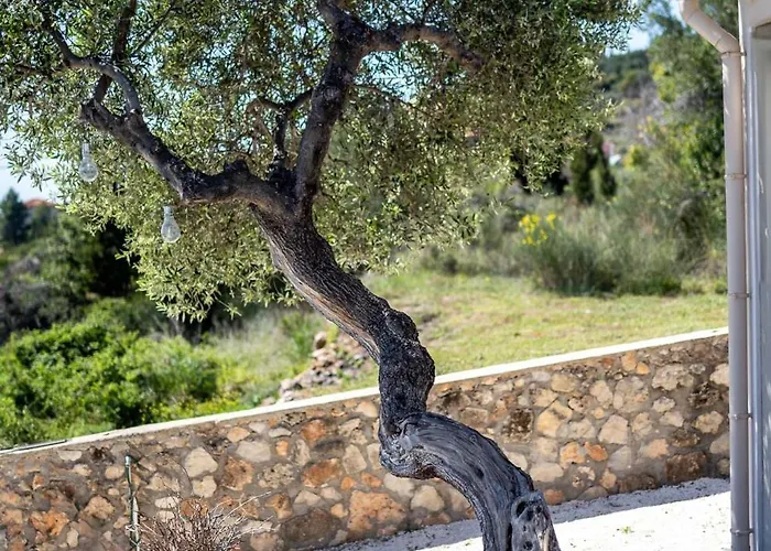 Semesterbostad Tree Of Life Valeriános