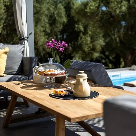 Tree Of Life Valerianos