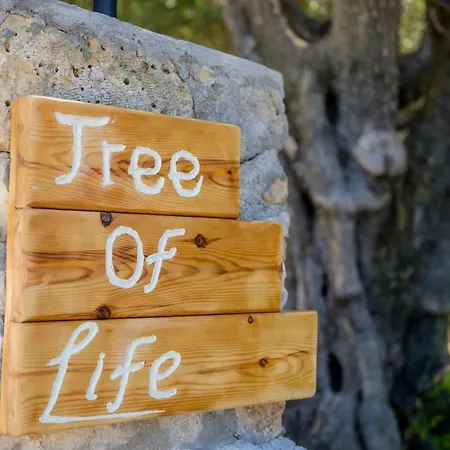 Tree Of Life Casa de Férias Valeriános